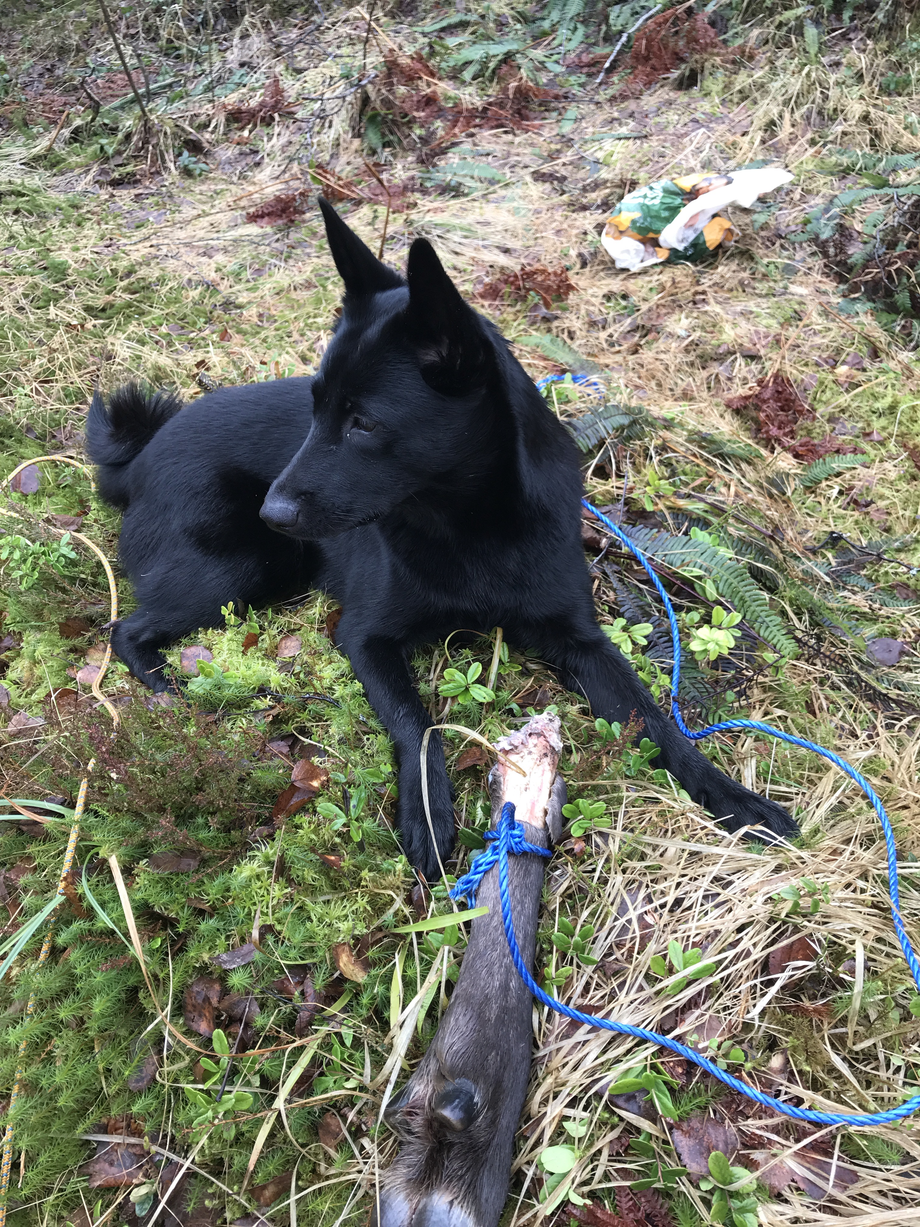 2018-04-28 11.28.09.jpg