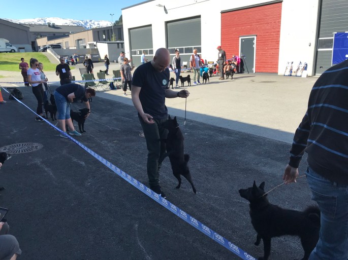 2018-05-19 10.27.23-1