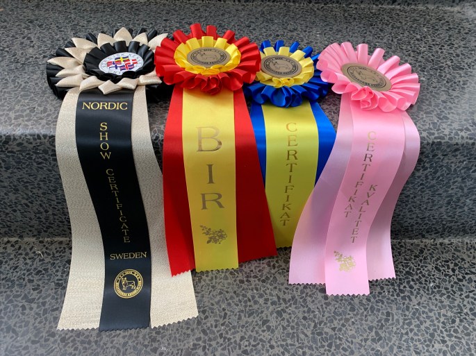 2019-05-11 12.45.50.jpg