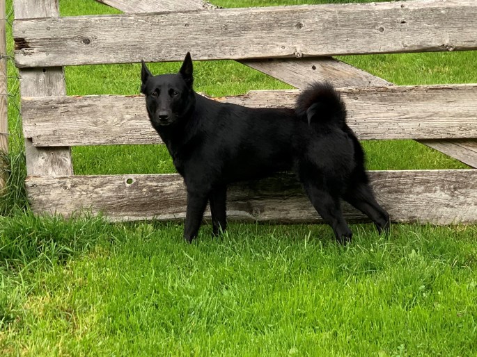 2019-09-06 16.55.15-1_2